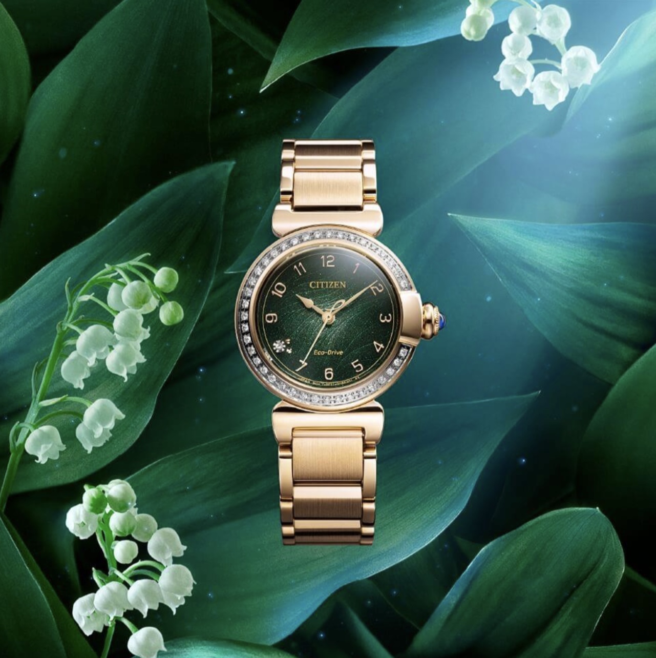 シチズン エル紹介｜ショップニュース｜アミコ専門店街/アミコ東館