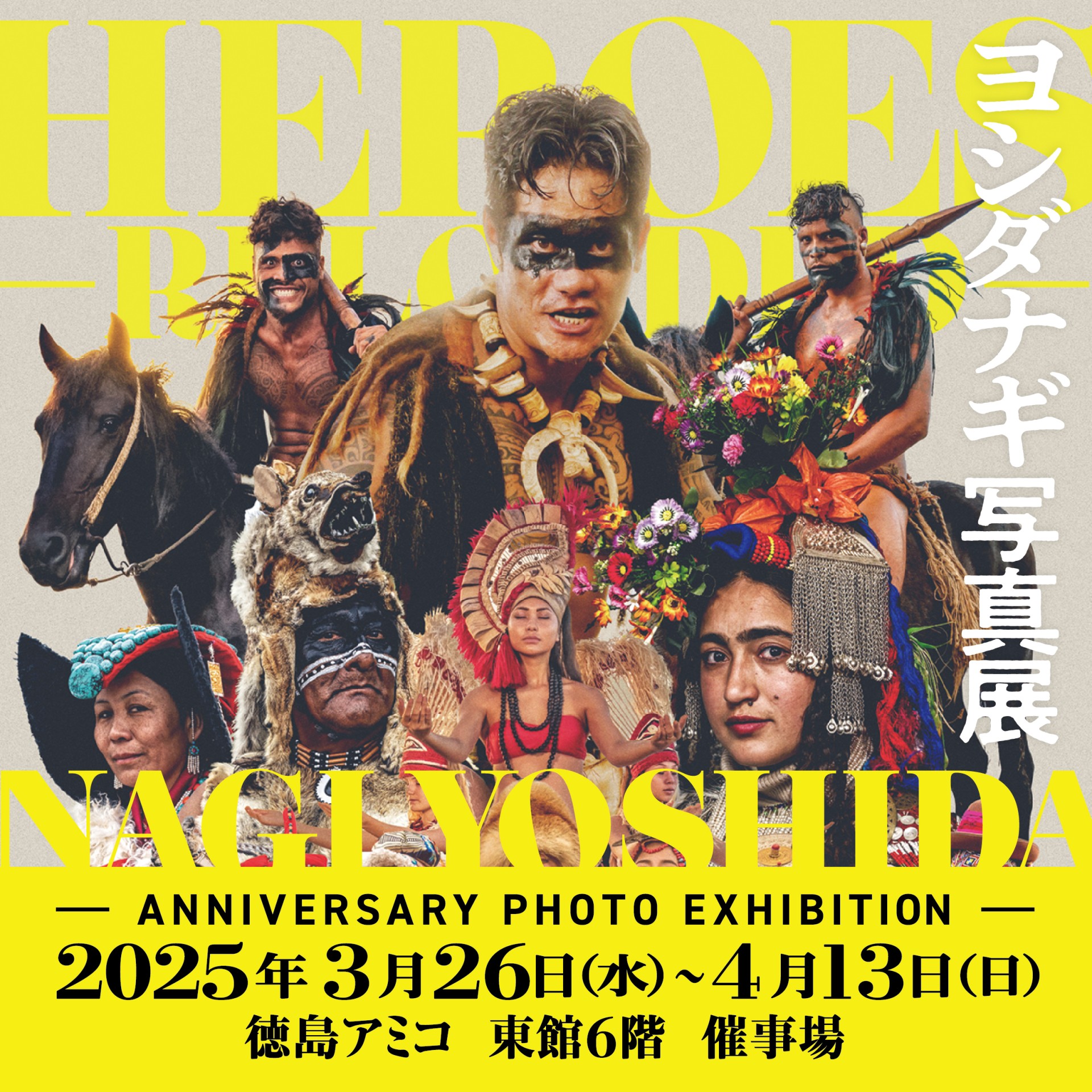 ヨシダナギ写真展｜イベント｜アミコ専門店街/アミコ東館（徳島県徳島市）